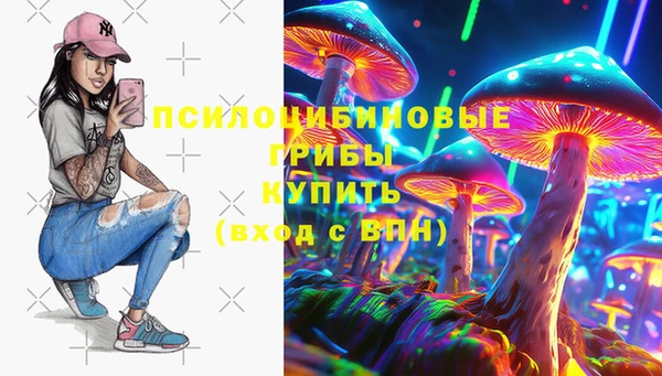 стаф Гусев