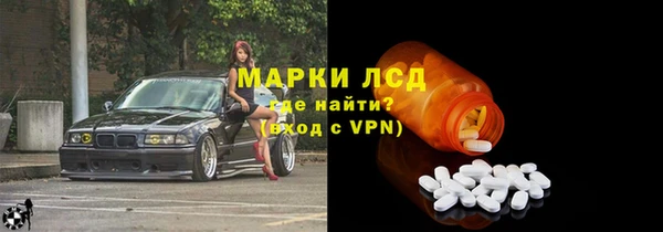 стаф Гусев