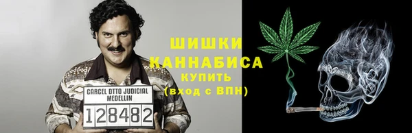PSILOCYBIN Краснотурьинск