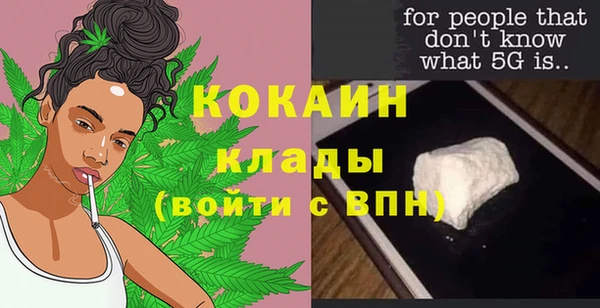 стаф Гусев