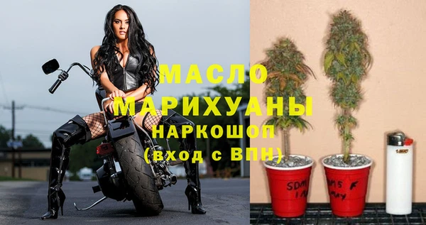 молекула духа Сосновка