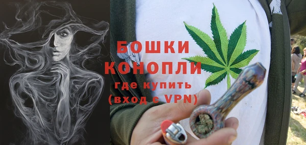 ПСИЛОЦИБИНОВЫЕ ГРИБЫ Гусиноозёрск